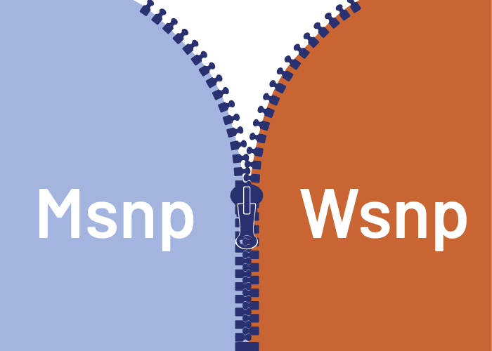 Aansluiting verbeteren tussen Msnp en Wsnp